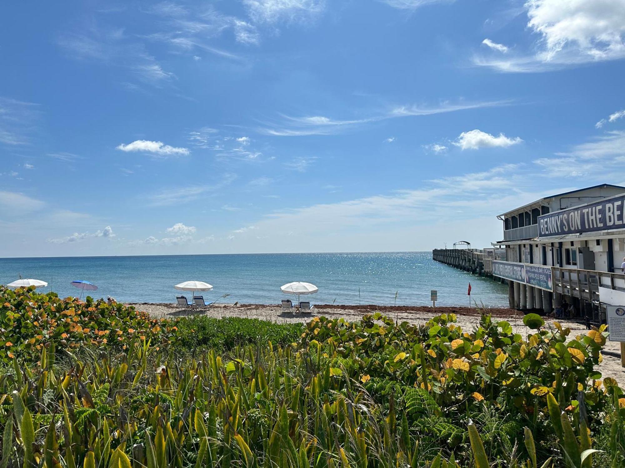 5 Min To Beach Large Living Room Fenced Backyard Bbq Firepit Driveway Boat Parking Lake Worth Beach Ngoại thất bức ảnh